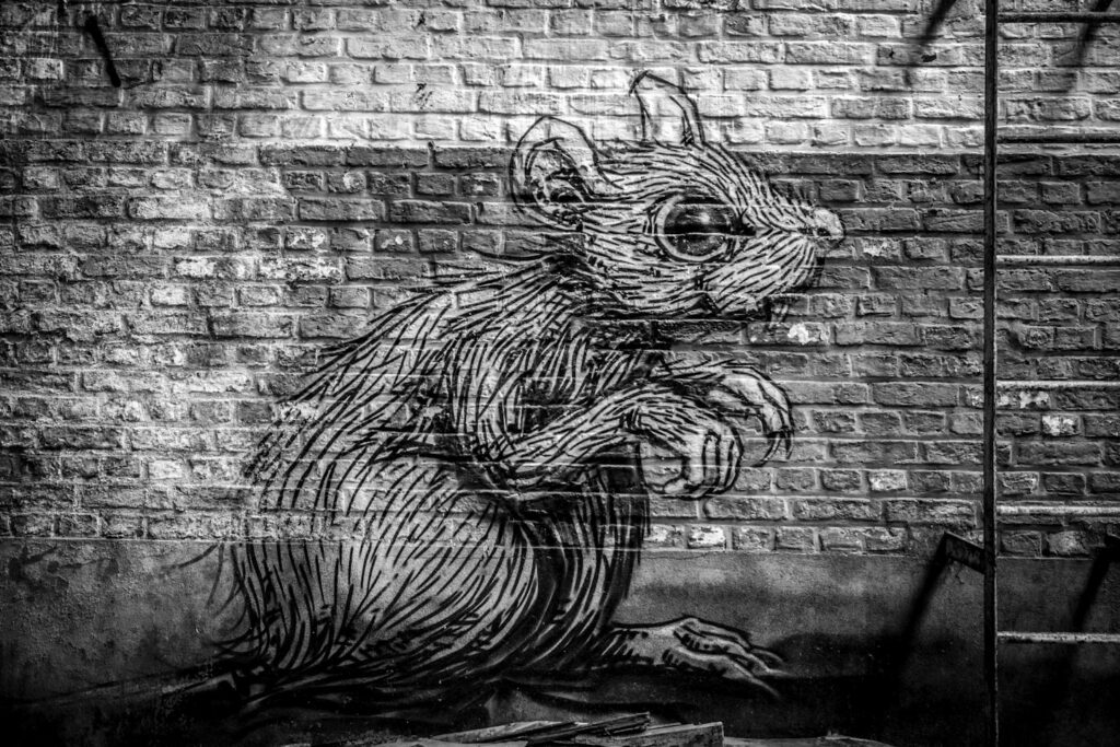 Urbex graffiti tags animal