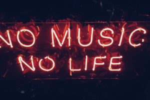 No Music No Life